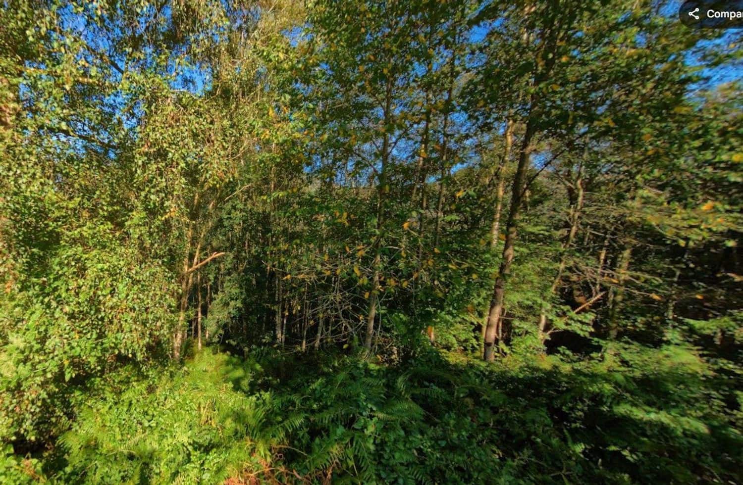 Undeveloped Land for sale in Llanes - € 28,000 (Ref: 9503727)