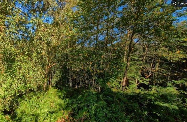 Undeveloped Land for sale in Llanes - € 28,000 (Ref: 9503727)