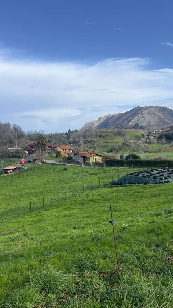 Rakentamaton maa myytävänä paikassa Llanes - 35 000 € (Ref: 9503727)