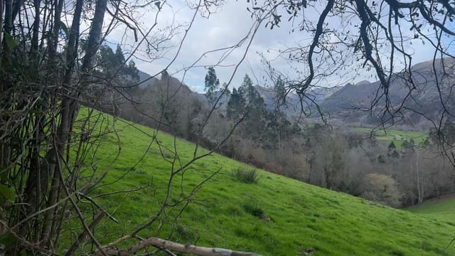 Mark till salu i Llanes - 35 000 € (Ref: 9503727)