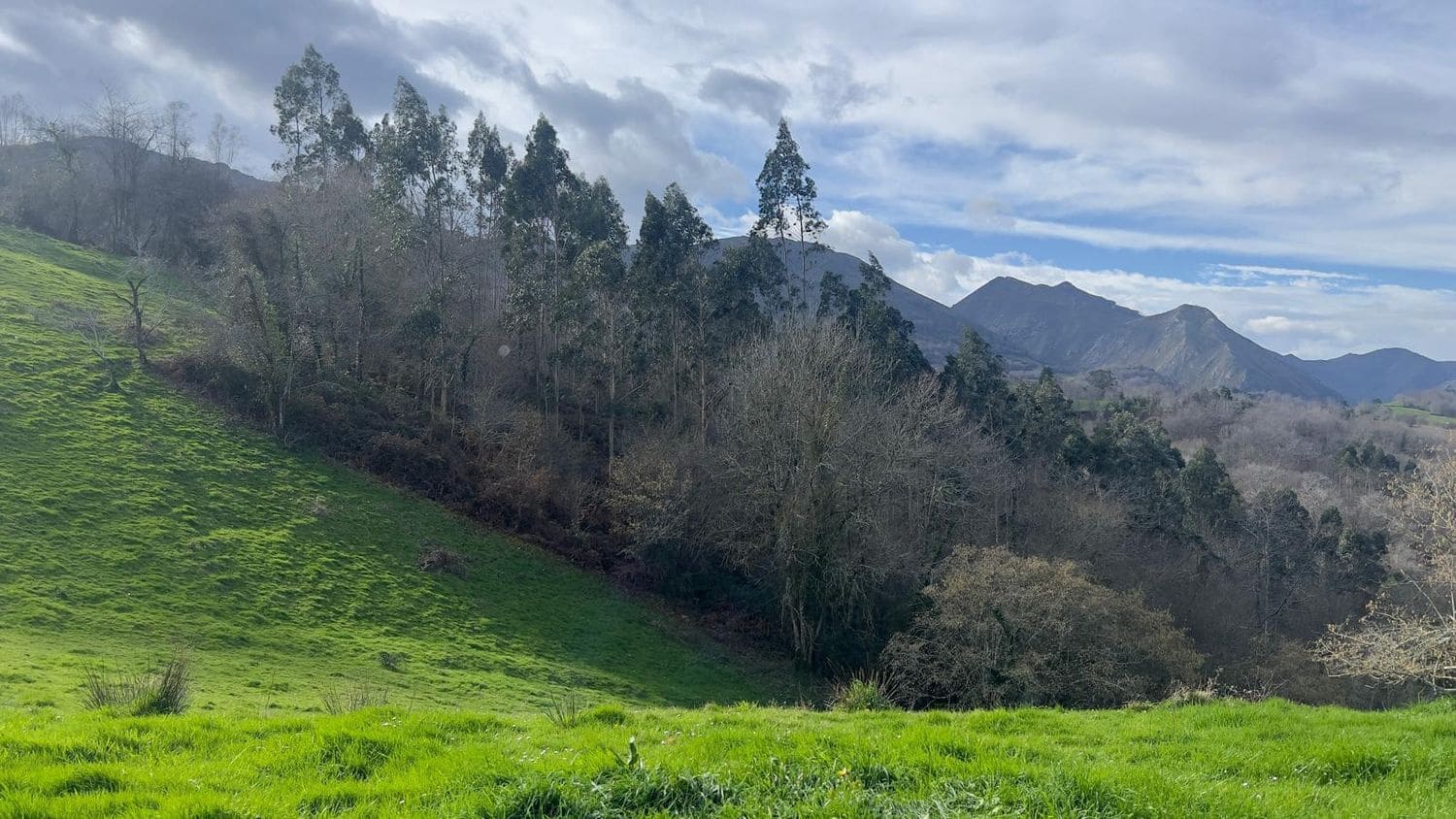 Rakentamaton maa myytävänä paikassa Llanes - 35 000 € (Ref: 9503727)