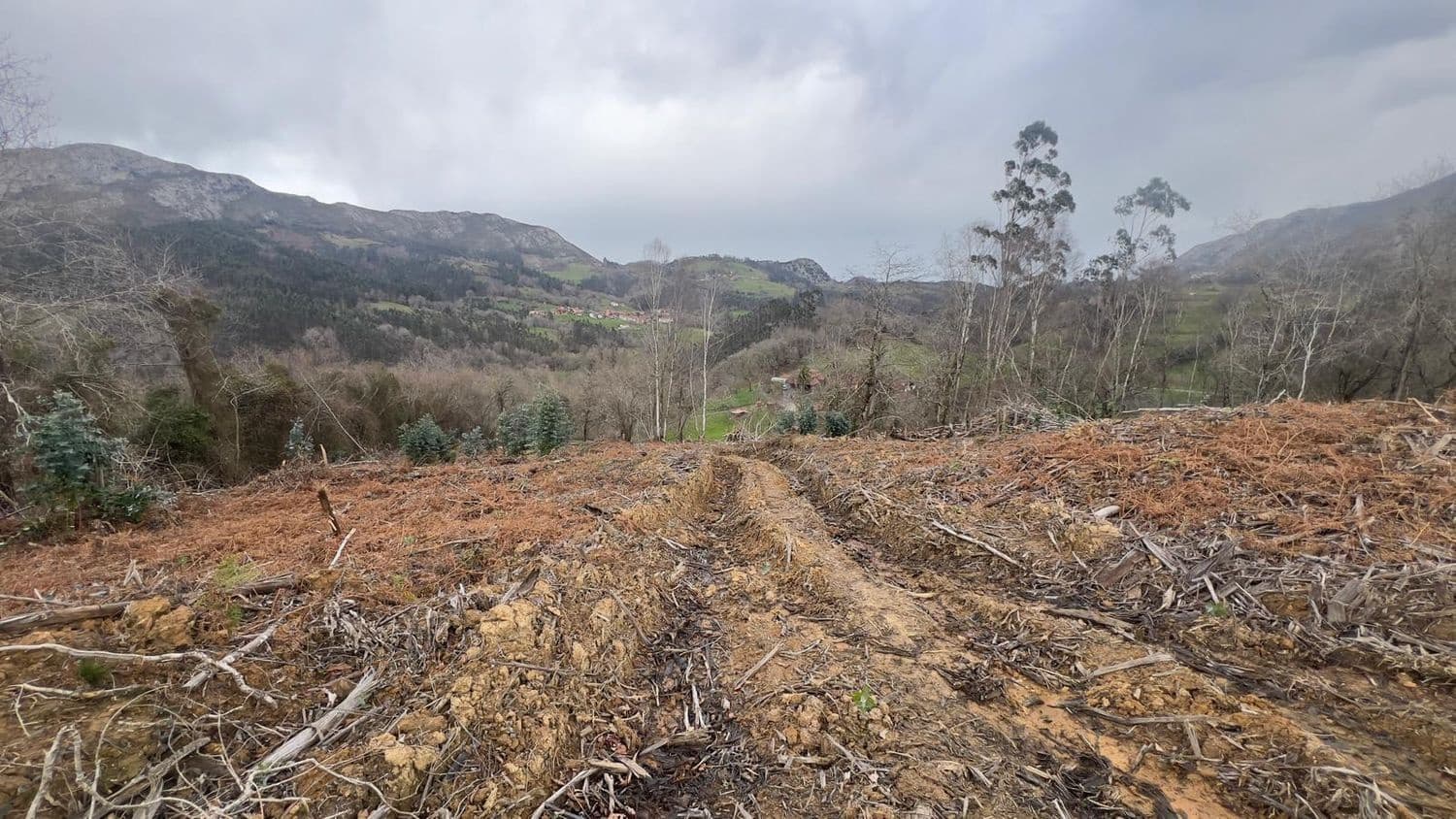 Rakentamaton maa myytävänä paikassa Llanes - 35 000 € (Ref: 9503727)