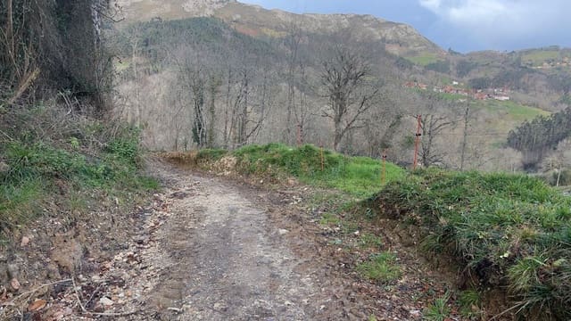 Mark till salu i Llanes - 35 000 € (Ref: 9503727)