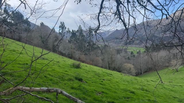 Mark till salu i Llanes - 35 000 € (Ref: 9503727)