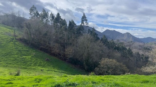 Mark till salu i Llanes - 35 000 € (Ref: 9503727)