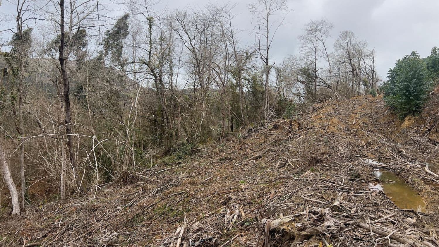 Rakentamaton maa myytävänä paikassa Llanes - 35 000 € (Ref: 9503727)