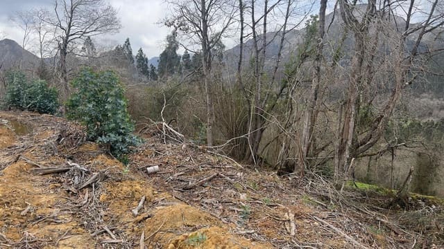 Mark till salu i Llanes - 35 000 € (Ref: 9503727)