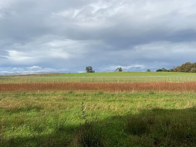 Terre non Aménagée à vendre à Luarca, Valdés - 70 000 € (Ref: 9535412)