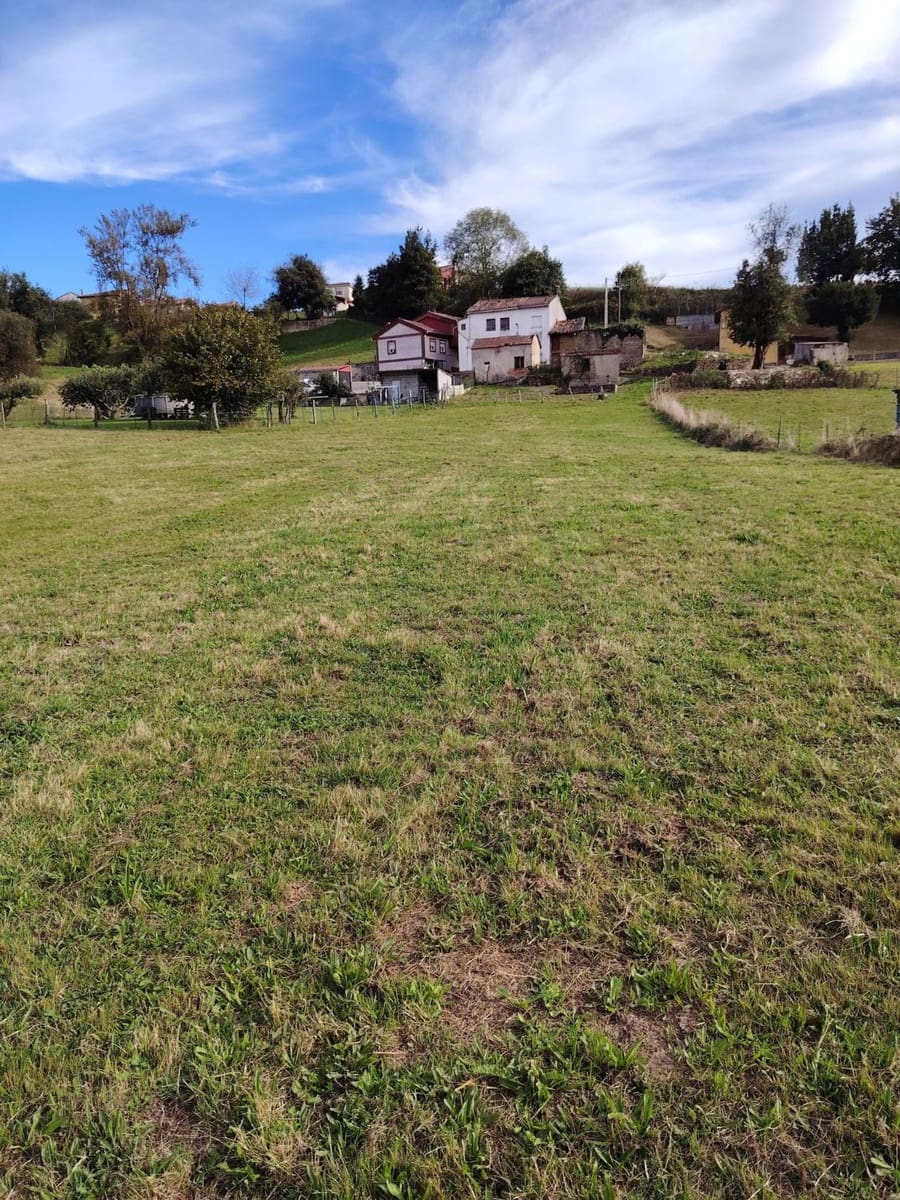 Undeveloped Land for sale in Langreo - € 24,100 (Ref: 9535413)