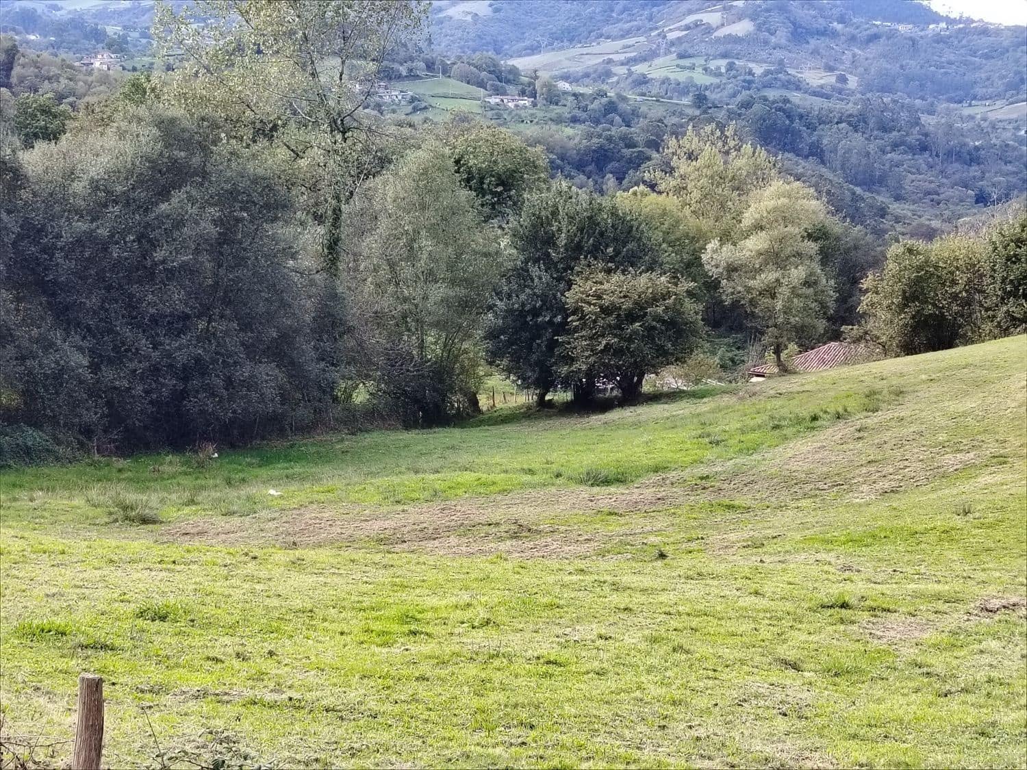 Undeveloped Land for sale in Langreo - € 24,100 (Ref: 9535413)