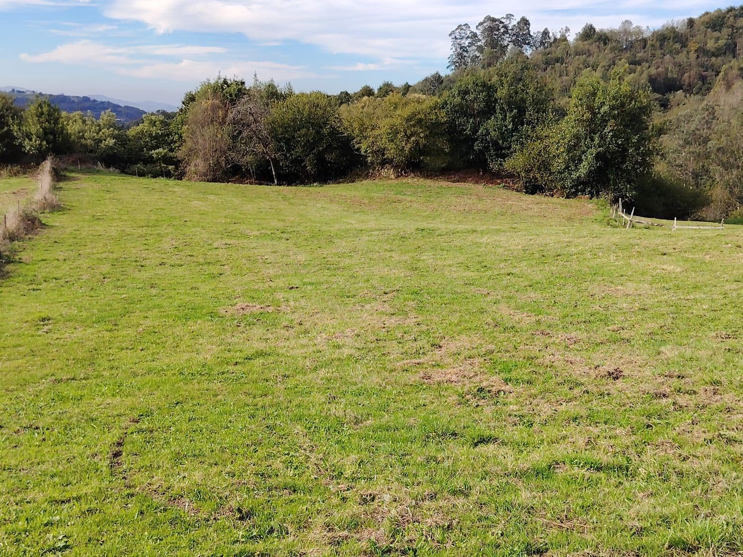 Undeveloped Land for sale in Langreo - € 24,100 (Ref: 9535413)