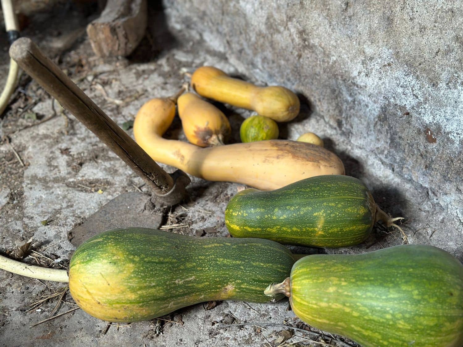 5 slaapkamer Finca/Landhuis te koop in Salas met garage - € 87.900 (Ref: 9554382)