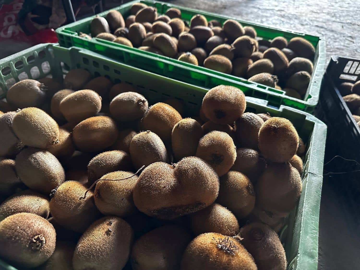 5 slaapkamer Finca/Landhuis te koop in Salas met garage - € 87.900 (Ref: 9554382)