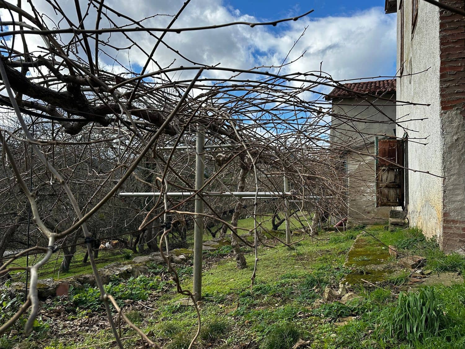 5 slaapkamer Finca/Landhuis te koop in Salas met garage - € 87.900 (Ref: 9554382)