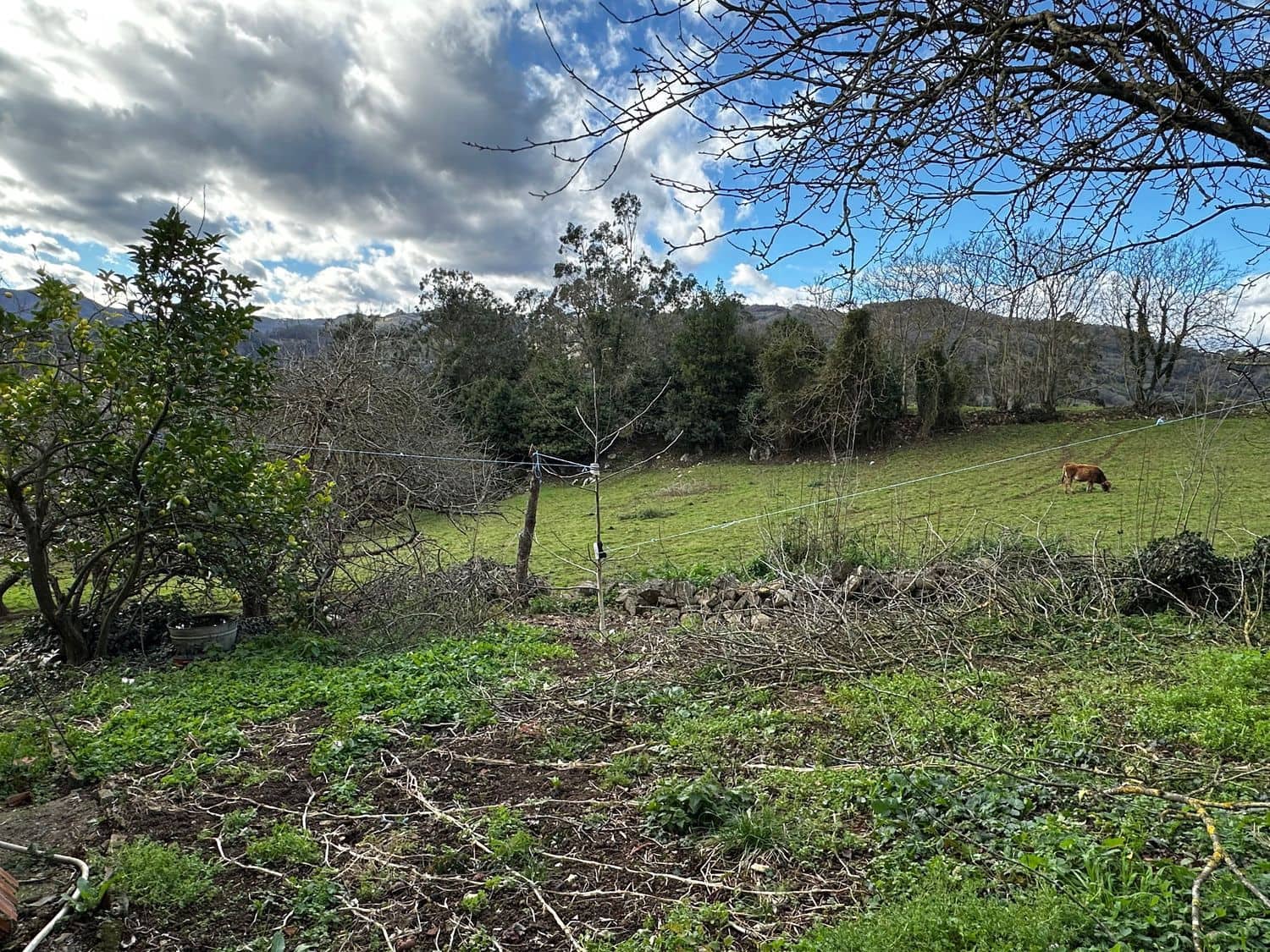 5 slaapkamer Finca/Landhuis te koop in Salas met garage - € 87.900 (Ref: 9554382)