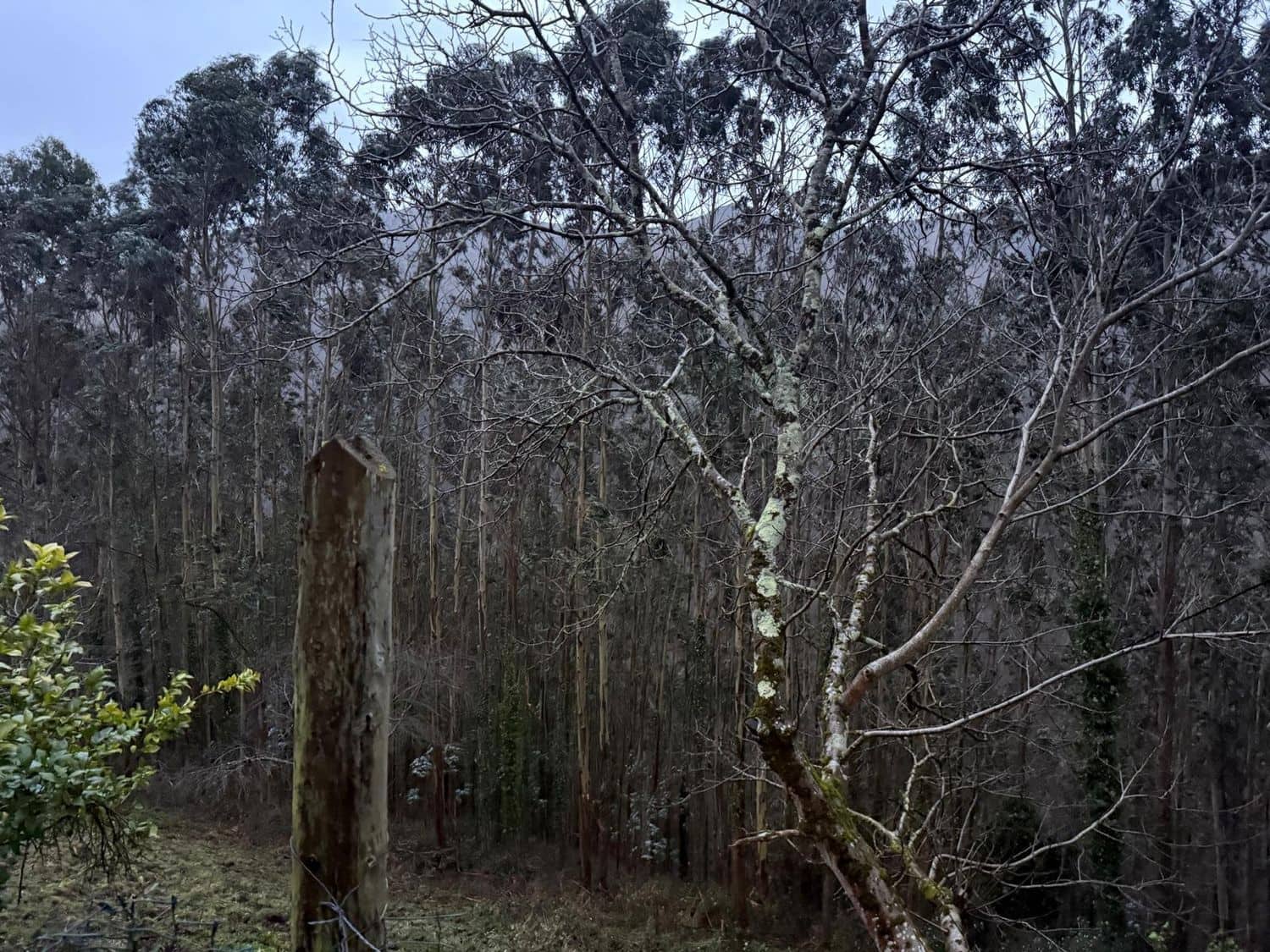 Finca/Country House for sale in Luarca with garage - € 15,000 (Ref: 9590503)