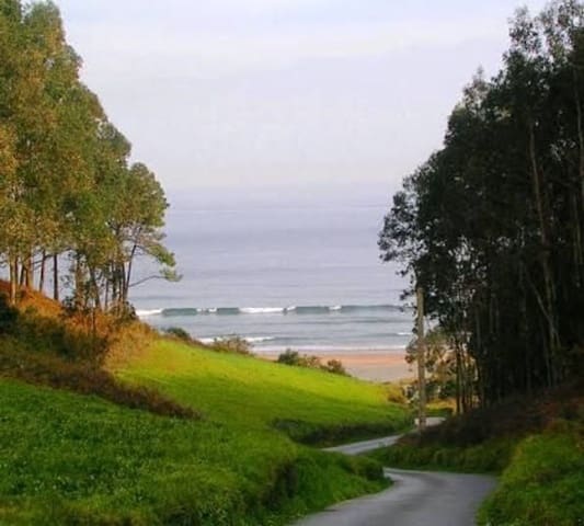 Mark till salu i Valdés - 60 000 € (Ref: 9594544)