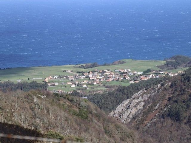 Landgrundstück zu verkaufen in Castropol - 40.000 € (Ref: 9610718)