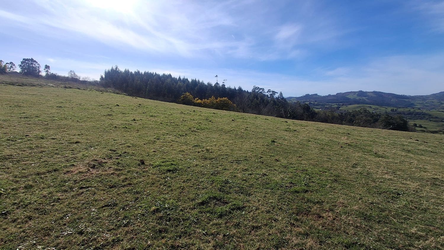 Undeveloped Land for sale in Corvera de Asturias - € 39,990 (Ref: 9624264)