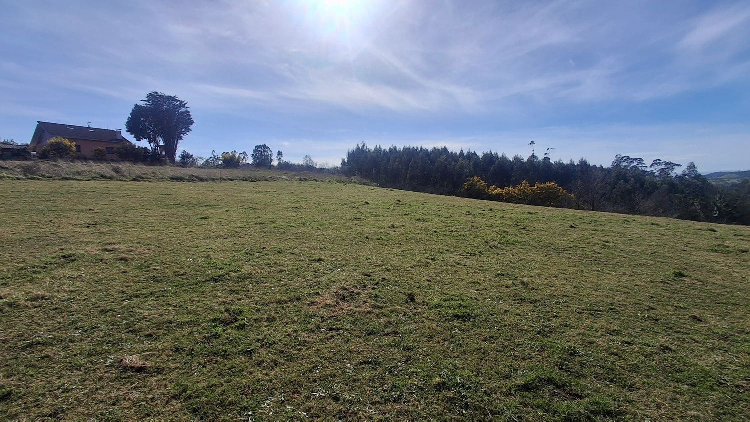 Undeveloped Land for sale in Corvera de Asturias - € 39,990 (Ref: 9624264)
