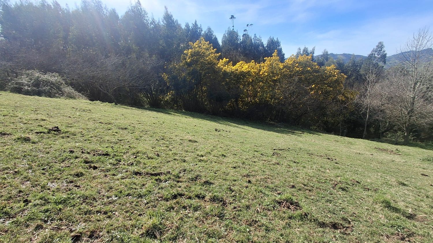 Undeveloped Land for sale in Corvera de Asturias - € 39,990 (Ref: 9624264)