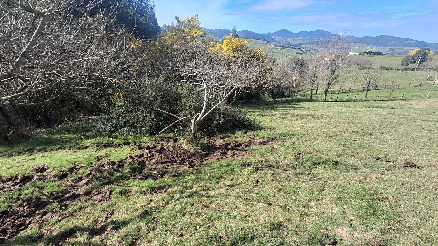 Undeveloped Land for sale in Corvera de Asturias - € 39,990 (Ref: 9624264)