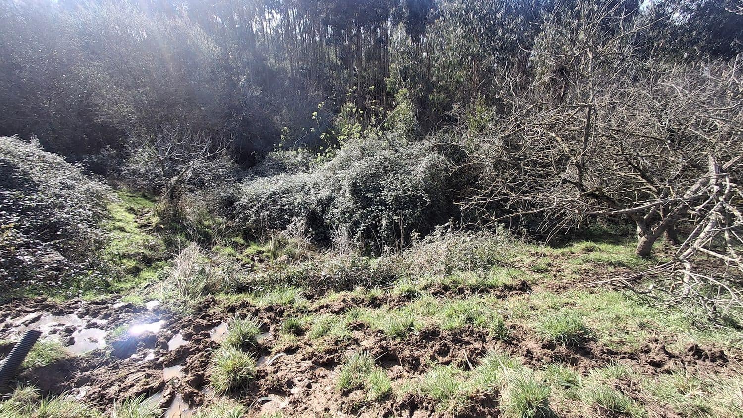 Undeveloped Land for sale in Corvera de Asturias - € 39,990 (Ref: 9624264)