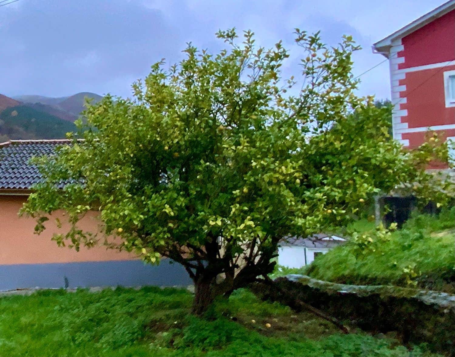 Finca/Casa Rural de 2 habitaciones en Luarca en venta con garaje - 149.000 € (Ref: 9643675)