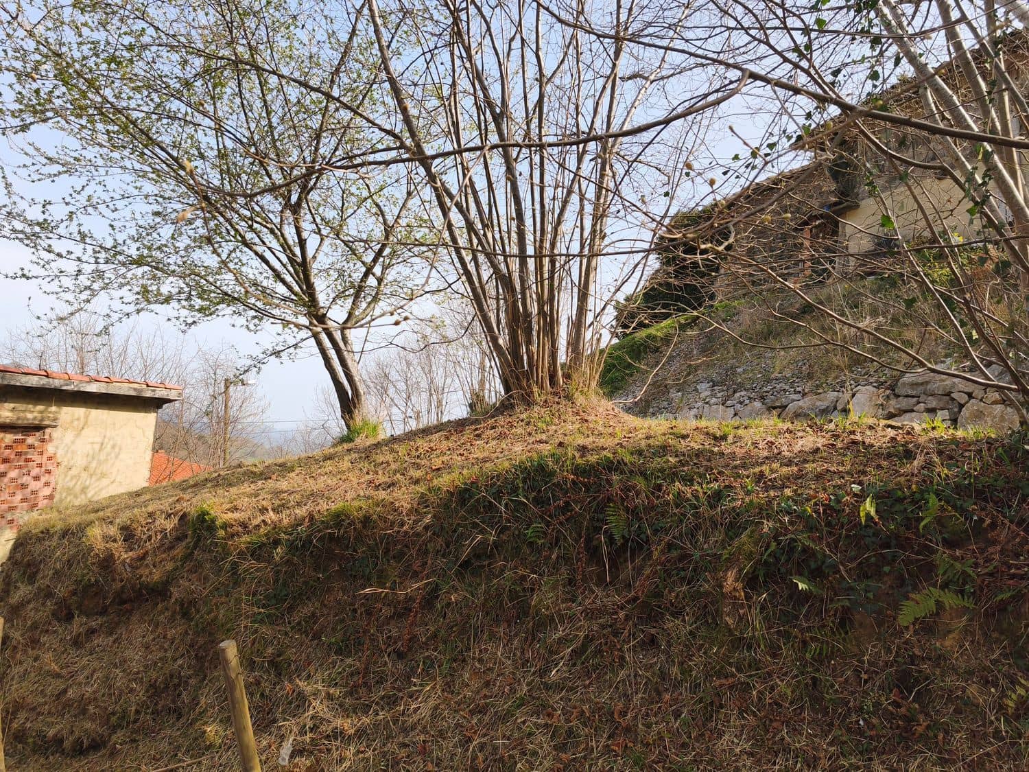 Finca/Herregård til salgs i Pilona med garasje - € 35 000 (Ref: 9655582)