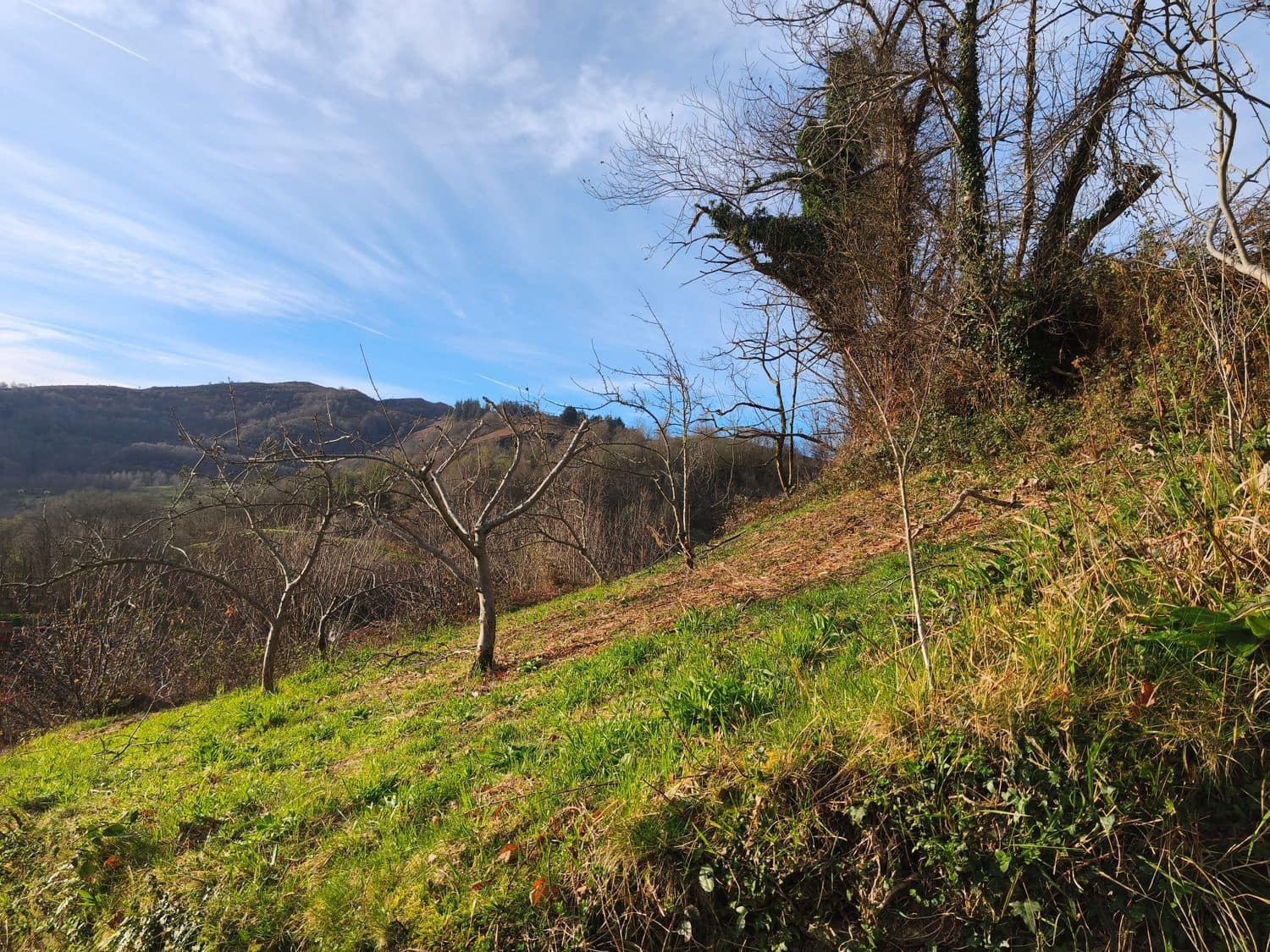 Finca/Country House for sale in San Martin del Rey Aurelio with garage - € 34,000 (Ref: 9685941)