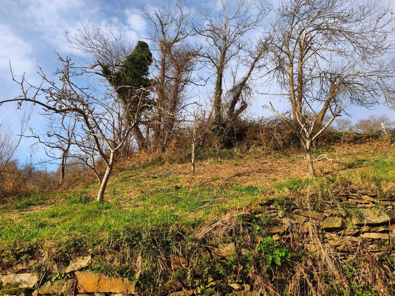 Finca/Country House for sale in San Martin del Rey Aurelio with garage - € 34,000 (Ref: 9685941)