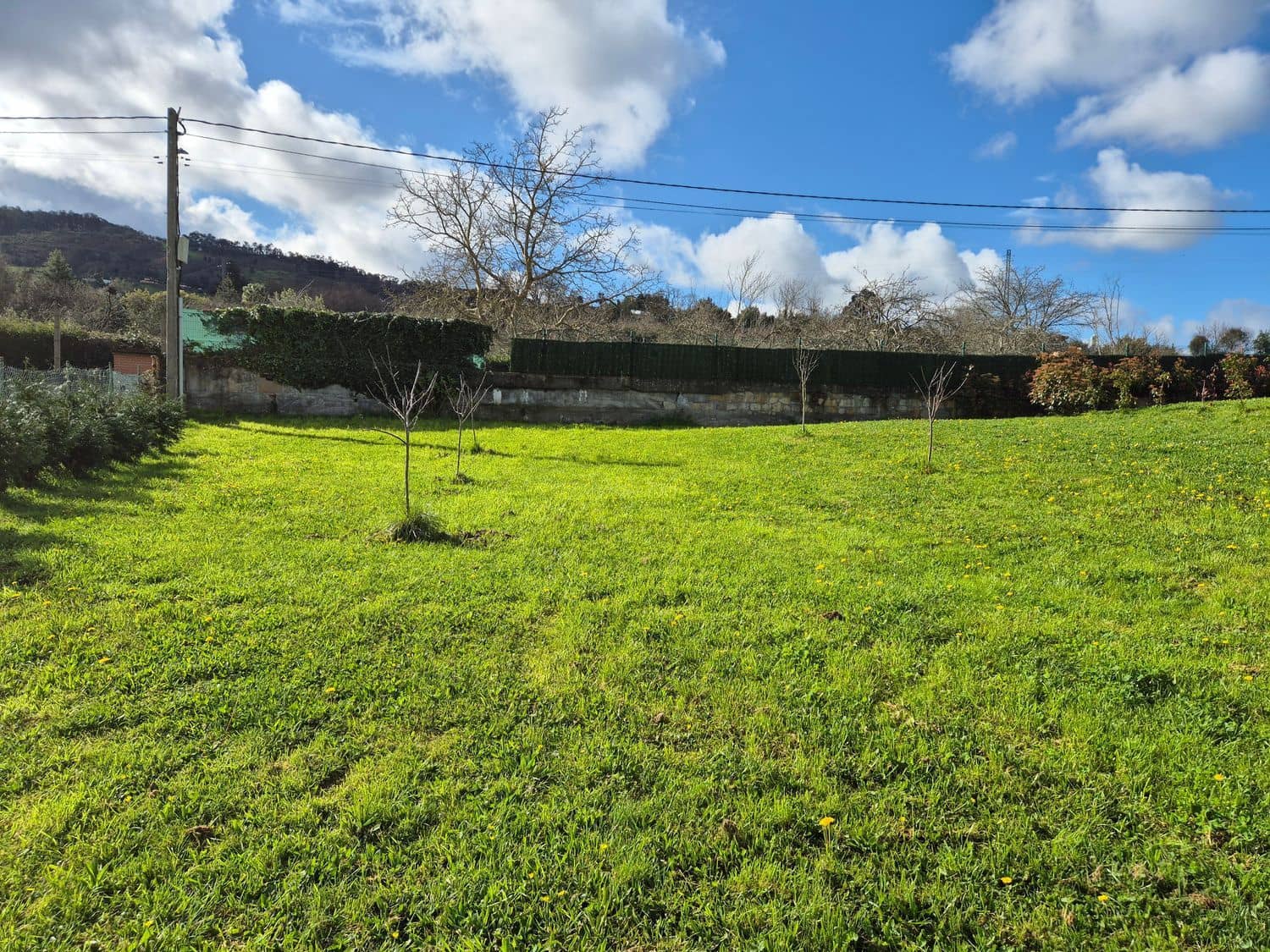 Undeveloped Land for sale in Gijon - € 169,000 (Ref: 9685943)