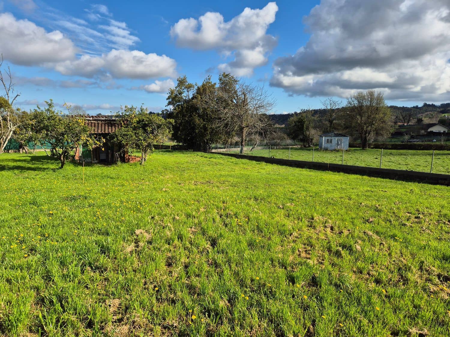 Undeveloped Land for sale in Gijon - € 169,000 (Ref: 9685943)