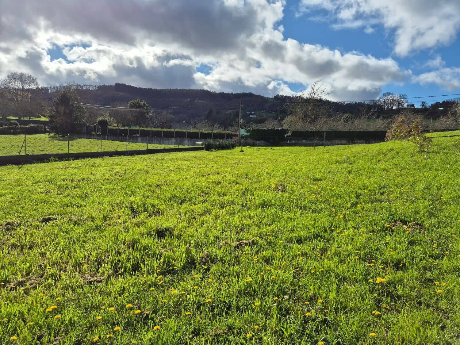 Undeveloped Land for sale in Gijon - € 169,000 (Ref: 9685943)