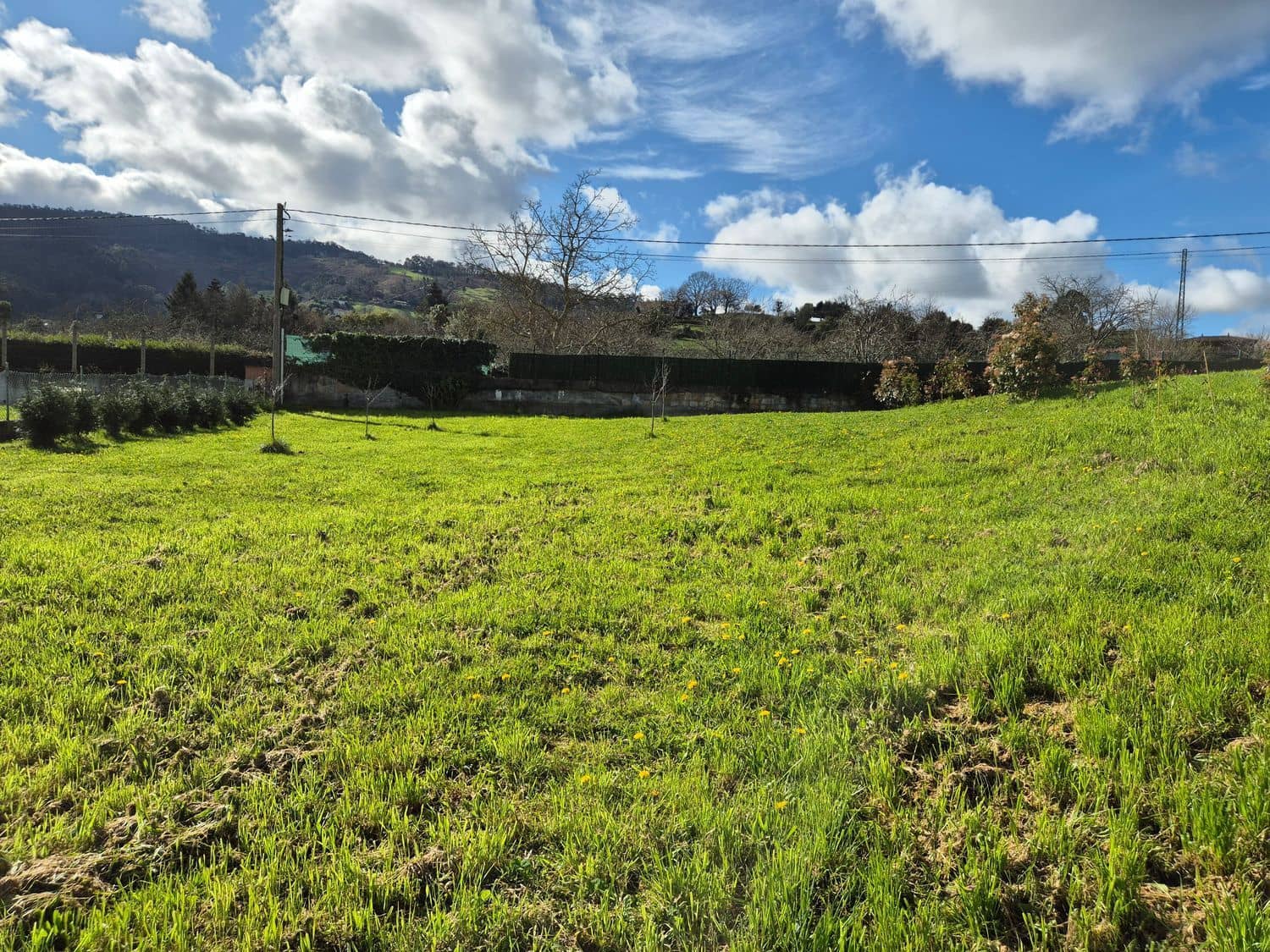 Undeveloped Land for sale in Gijon - € 169,000 (Ref: 9685943)