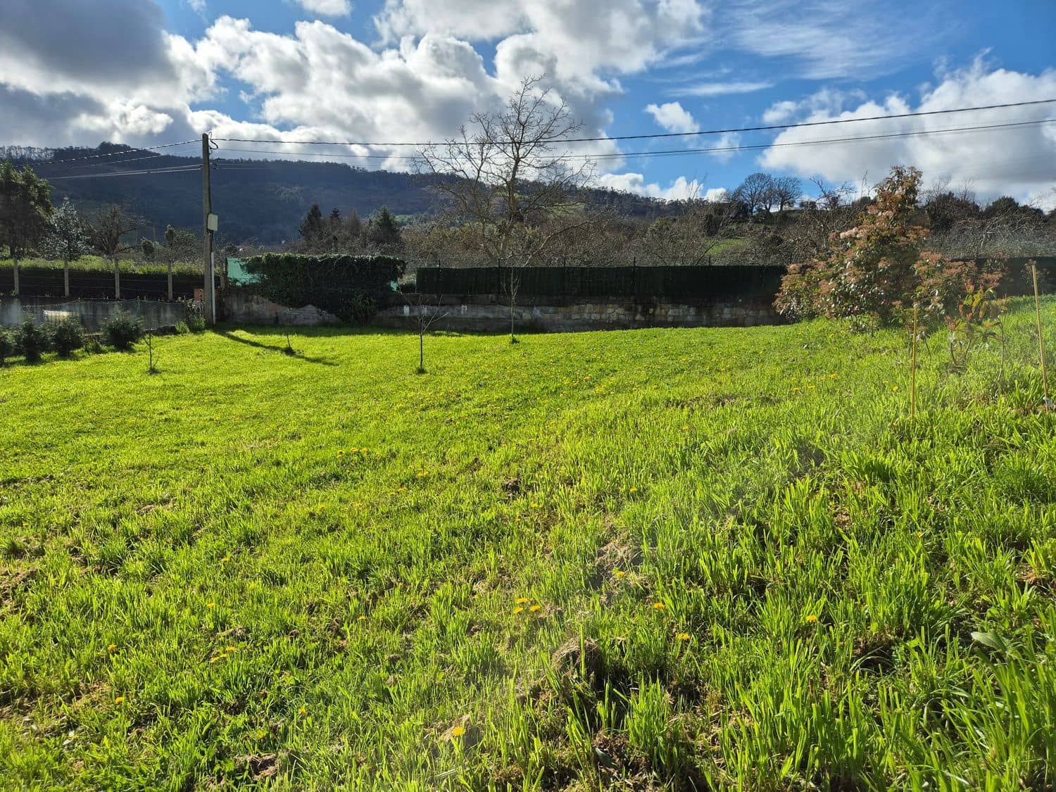 Undeveloped Land for sale in Gijon - € 169,000 (Ref: 9685943)