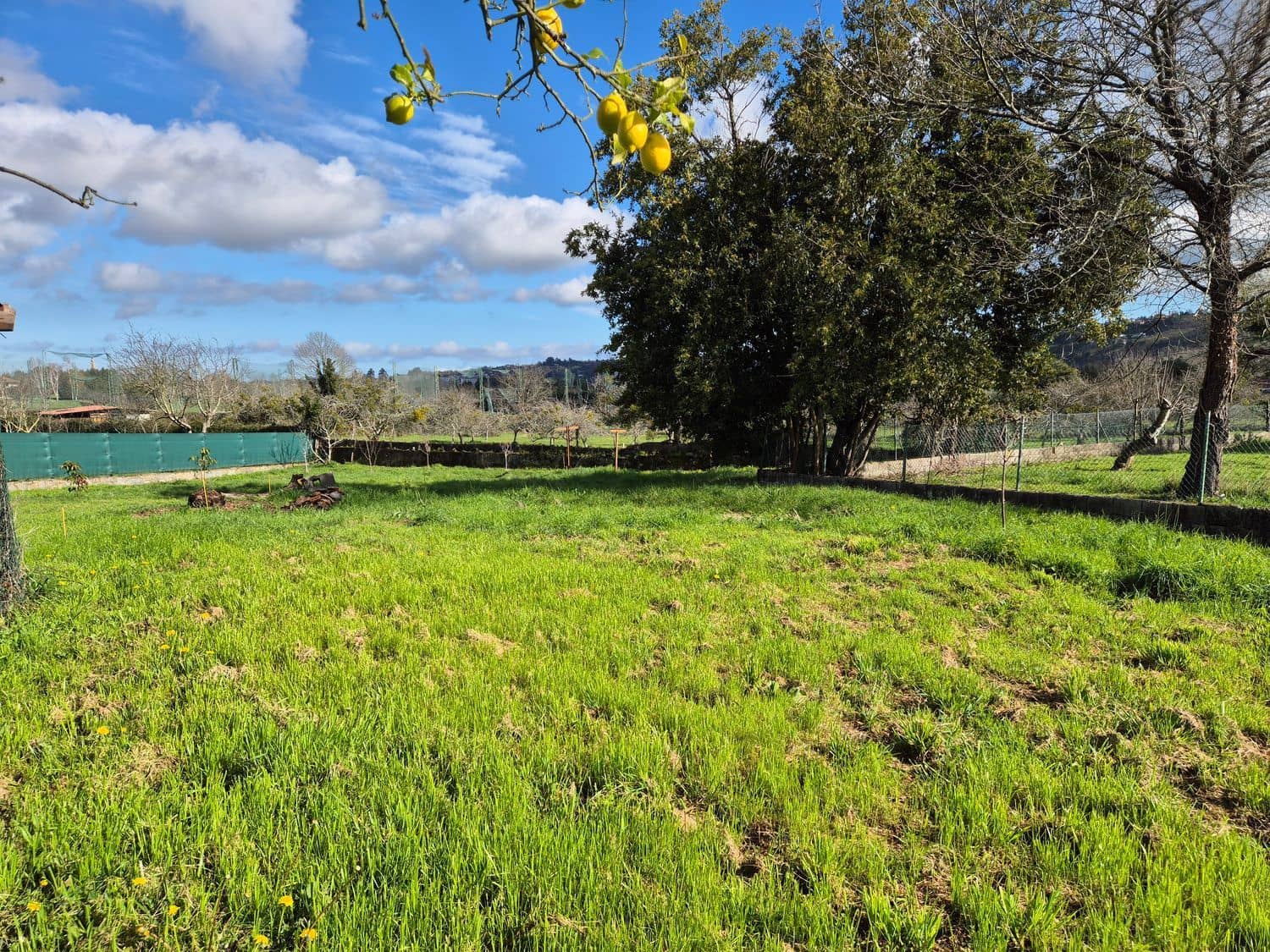 Undeveloped Land for sale in Gijon - € 169,000 (Ref: 9685943)