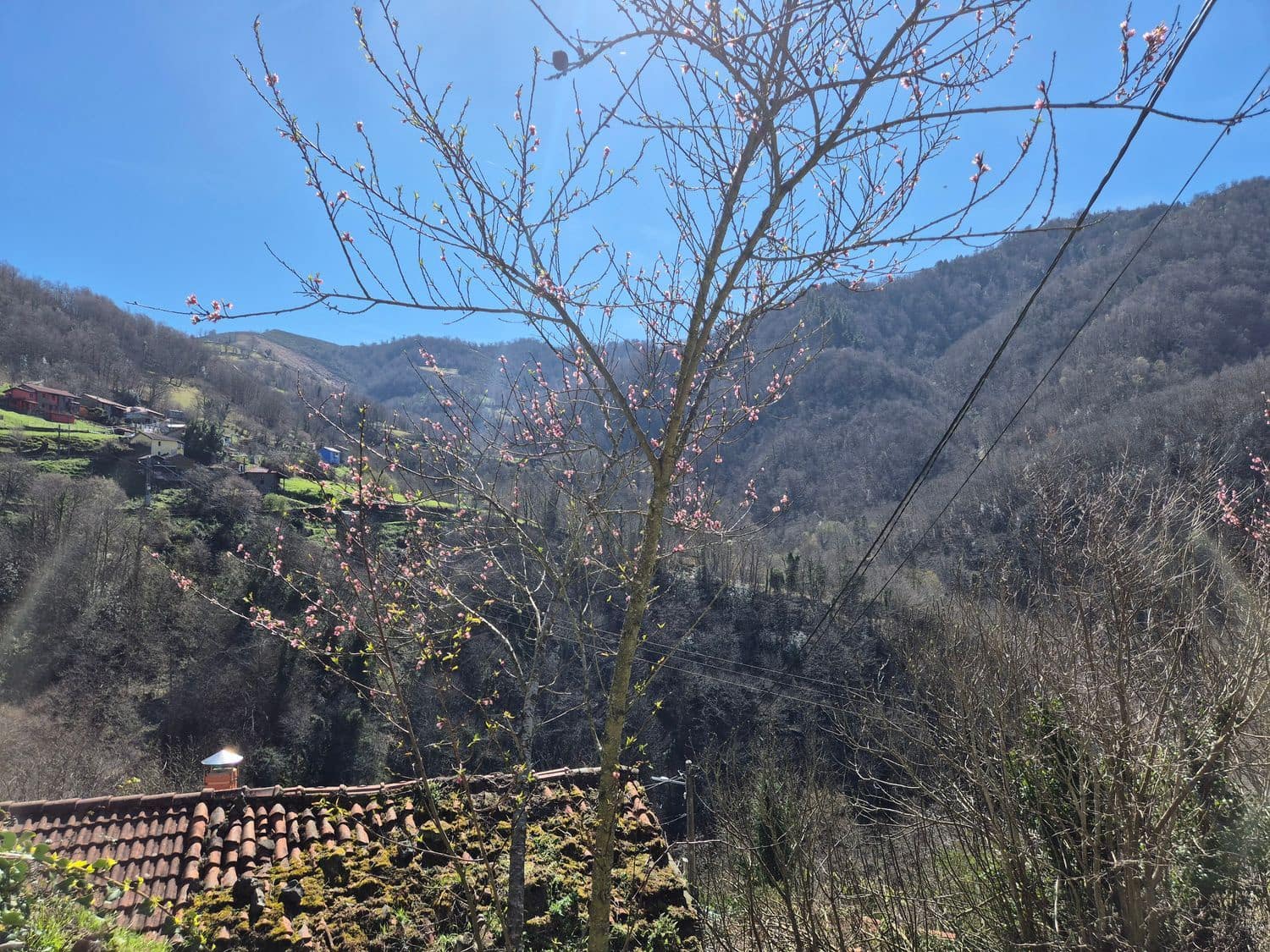 5 bedroom Finca/Country House for sale in Mieres with garage - € 32,000 (Ref: 9694740)