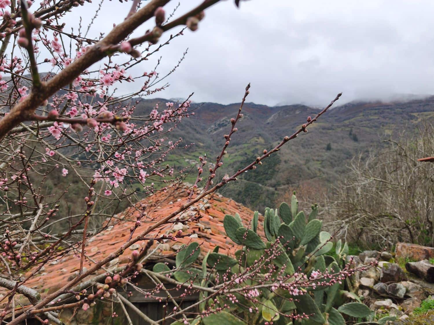 Finka/Dom wiejski na sprzedaż w Proaza z garażem - 24 000 € (Ref: 9694741)