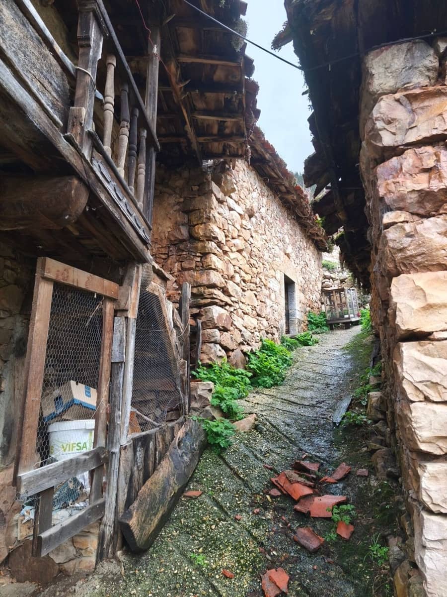 Finka/Dom wiejski na sprzedaż w Proaza z garażem - 24 000 € (Ref: 9694741)