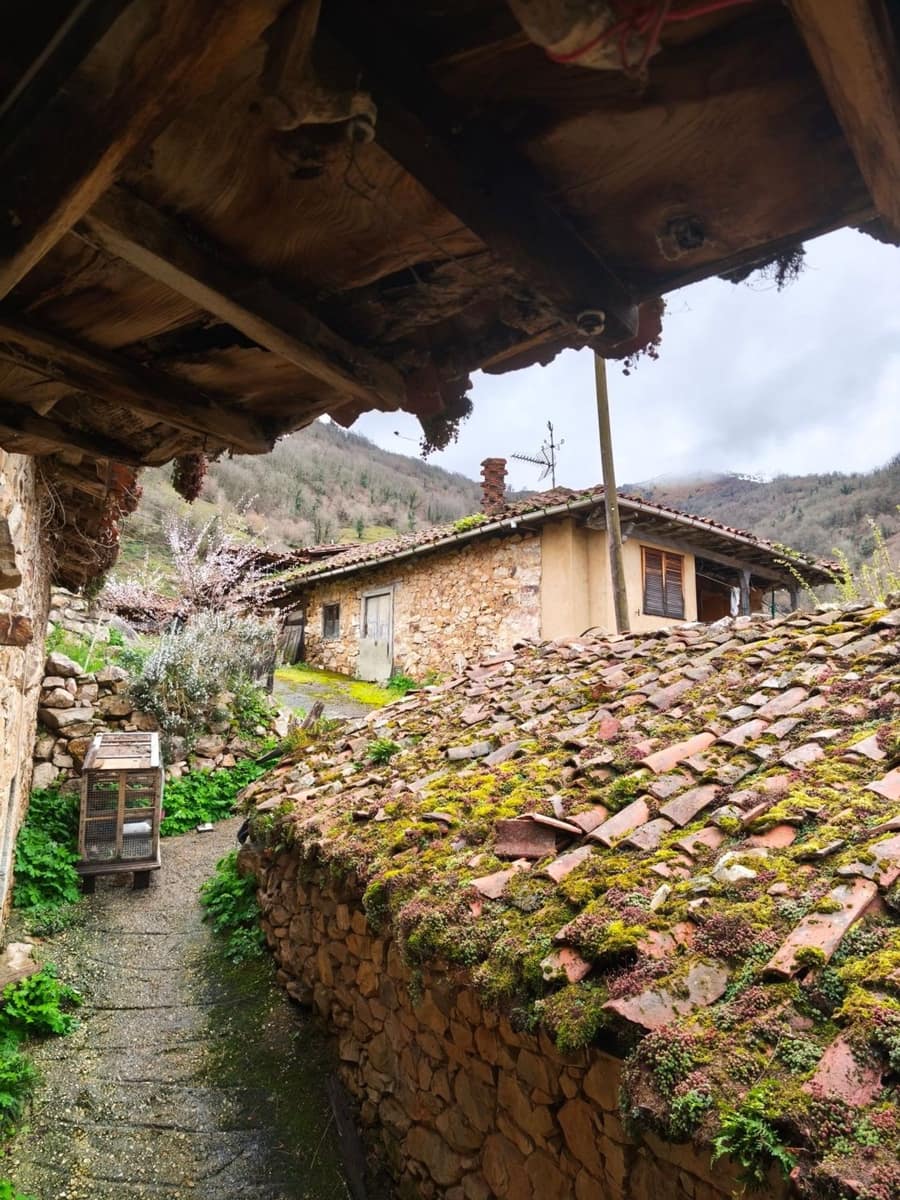 Finka/Dom wiejski na sprzedaż w Proaza z garażem - 24 000 € (Ref: 9694741)