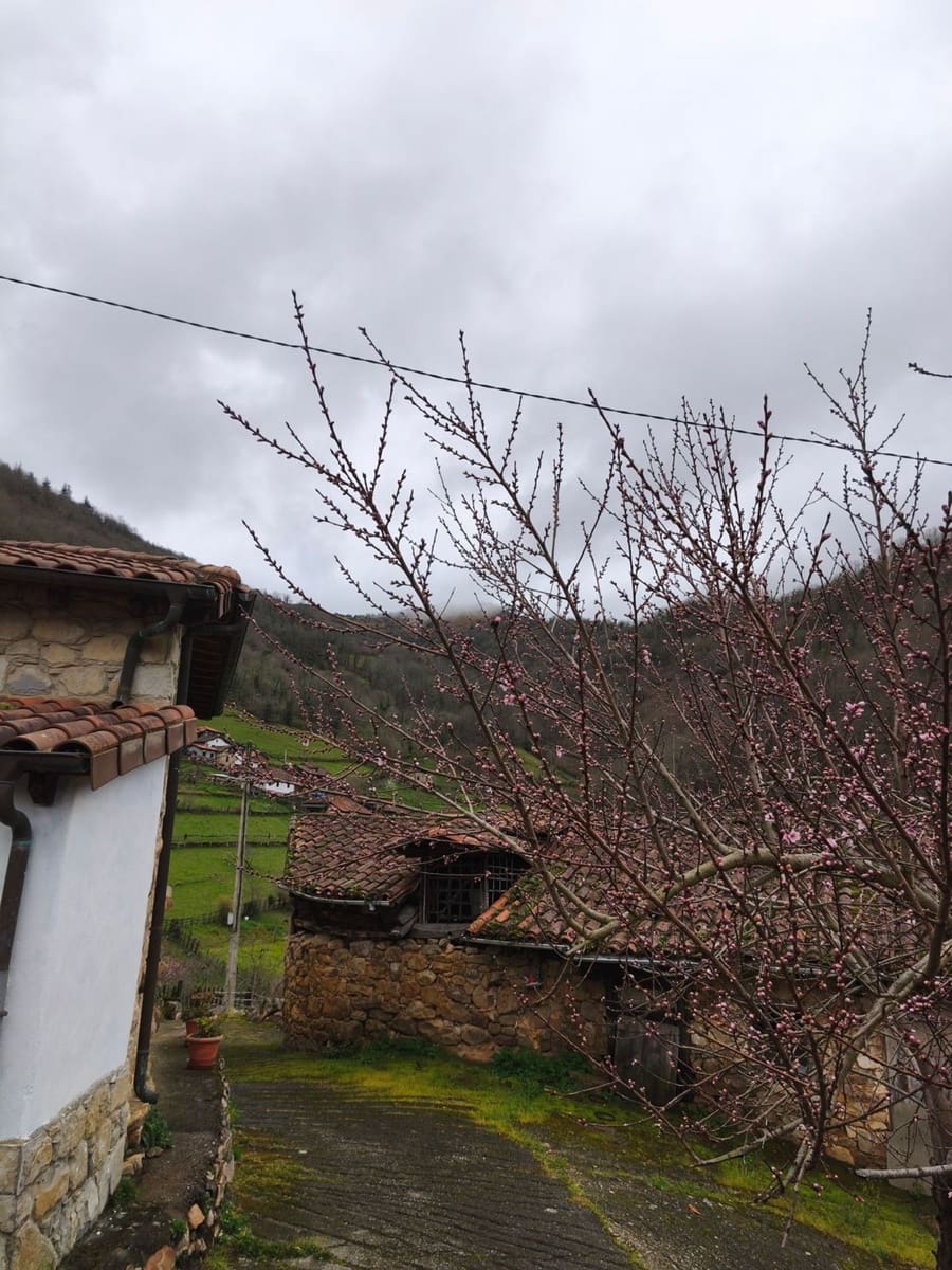 Finka/Dom wiejski na sprzedaż w Proaza z garażem - 24 000 € (Ref: 9694741)