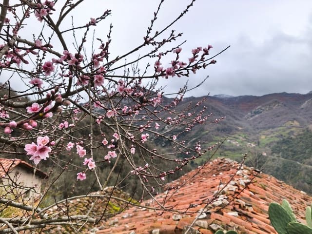 Finka/Dom wiejski na sprzedaż w Proaza z garażem - 24 000 € (Ref: 9694741)