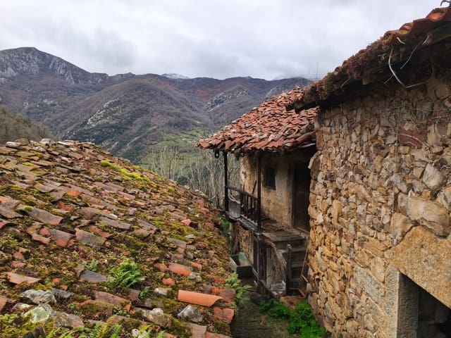 Finka/Dom wiejski na sprzedaż w Proaza z garażem - 24 000 € (Ref: 9694741)