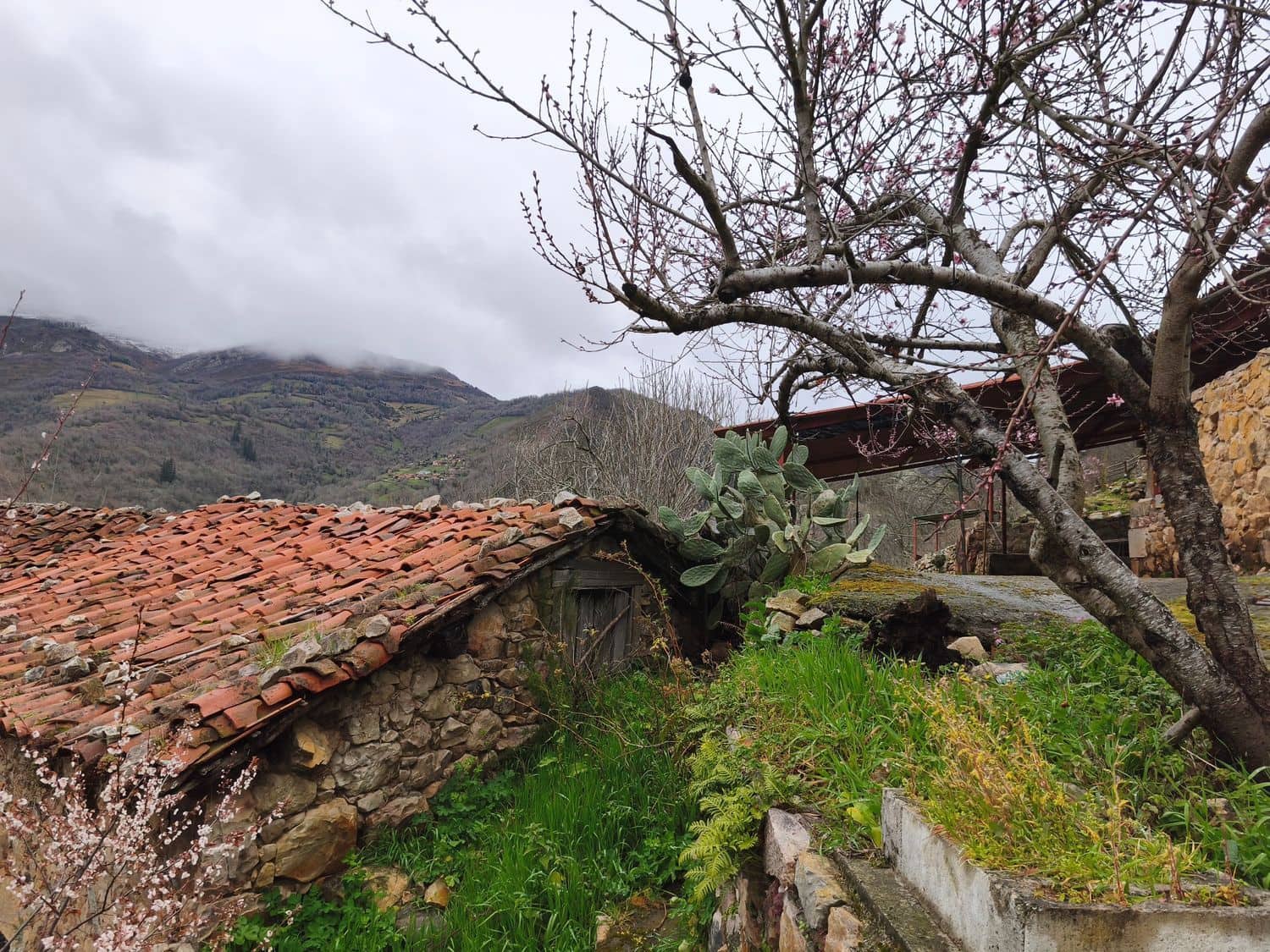 Finka/Dom wiejski na sprzedaż w Proaza z garażem - 24 000 € (Ref: 9694741)