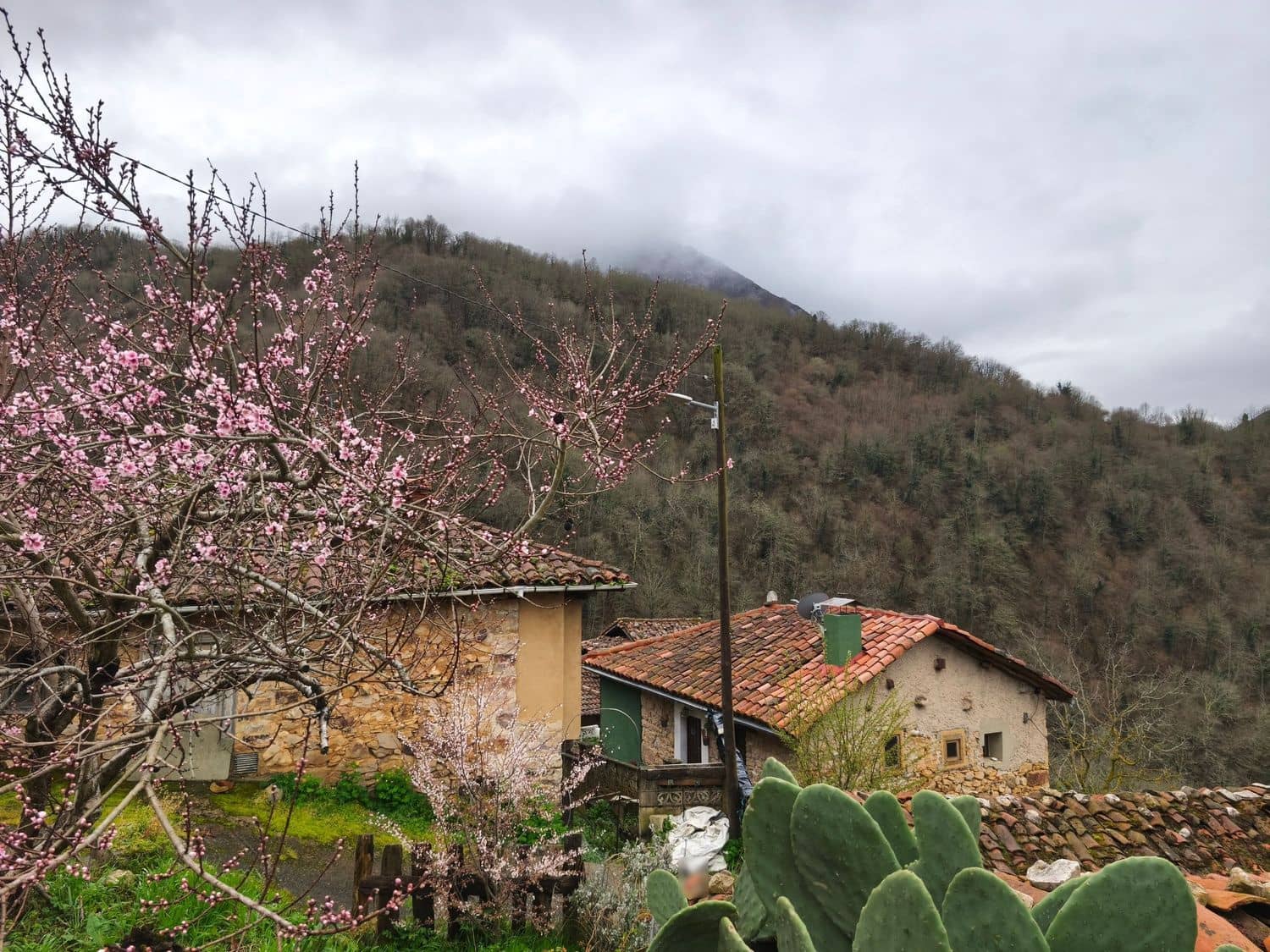 Finka/Dom wiejski na sprzedaż w Proaza z garażem - 24 000 € (Ref: 9694741)