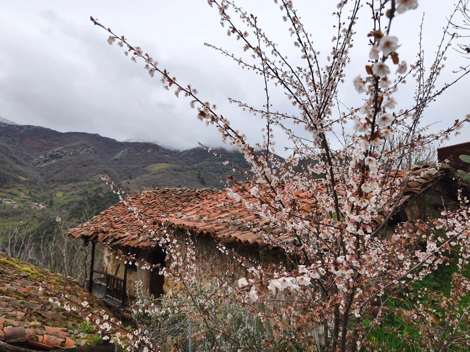 Finka/Dom wiejski na sprzedaż w Proaza z garażem - 24 000 € (Ref: 9694741)