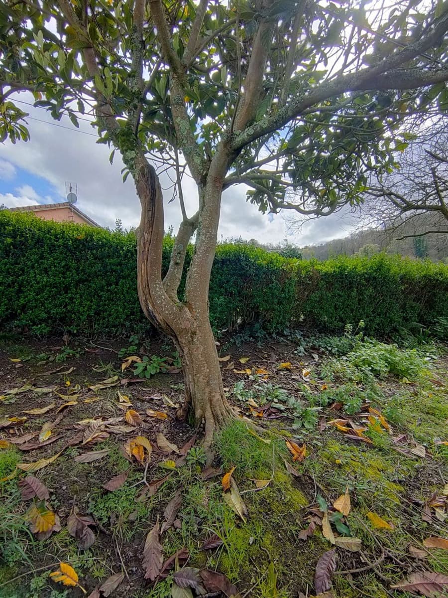 4 bedroom Finca/Country House for sale in Langreo with garage - € 62,900 (Ref: 9700381)