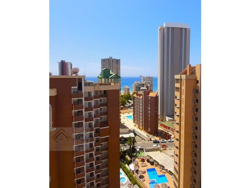 1 bedroom Apartment for sale in Benidorm with pool garage - € 229,000 (Ref: 9409899)