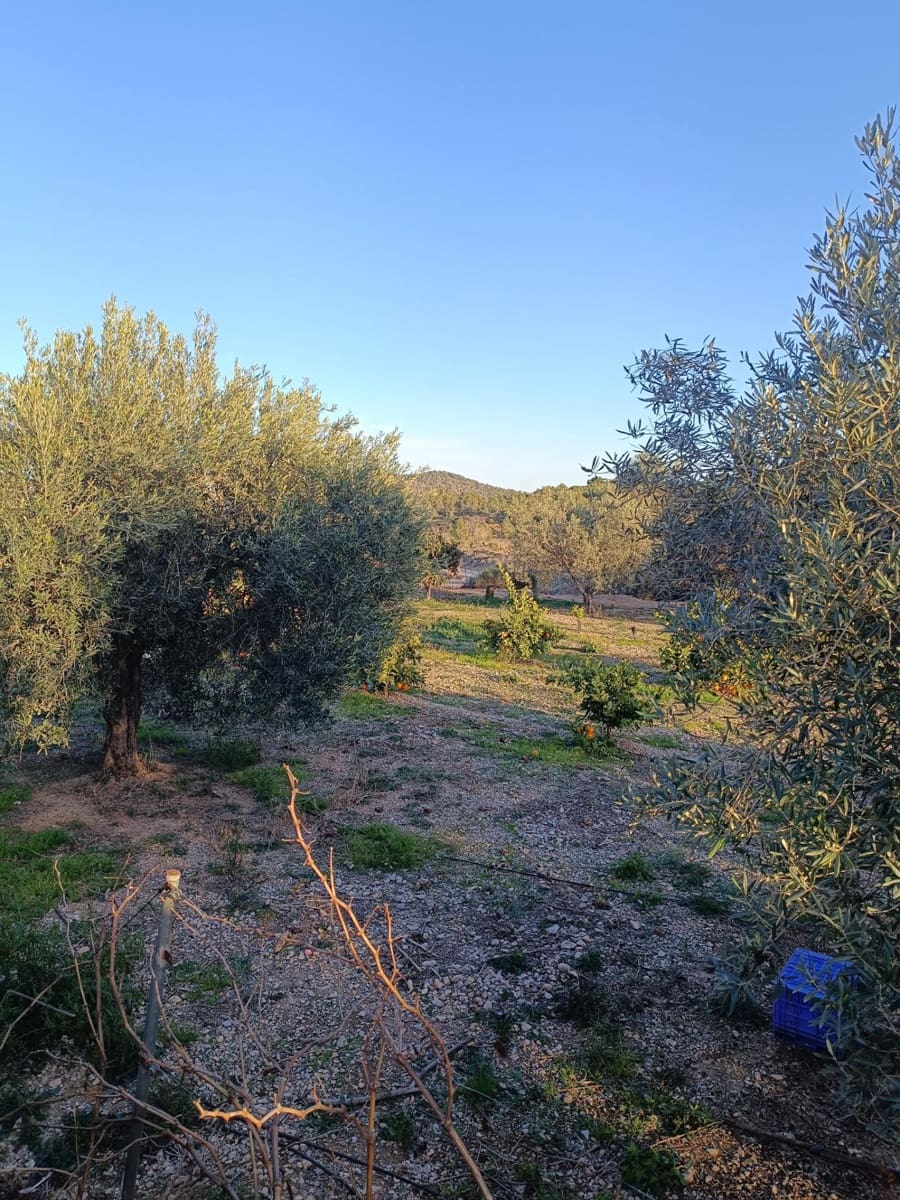 7 soveværelse Finca/Landehus til salg i Lliria med swimmingpool garage - € 490.000 (Ref: 8847651)